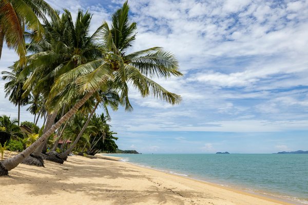 Glamping de luxe : les meilleures destinations à découvrir